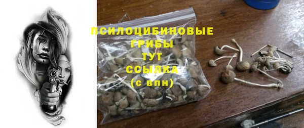 спайс Арсеньев