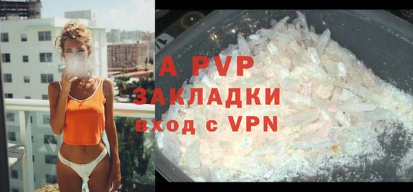 спайс Арсеньев