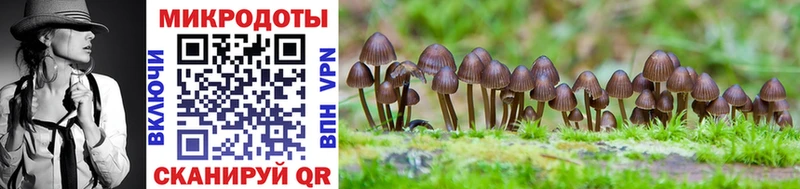 Псилоцибиновые грибы Psilocybe  Сорочинск 